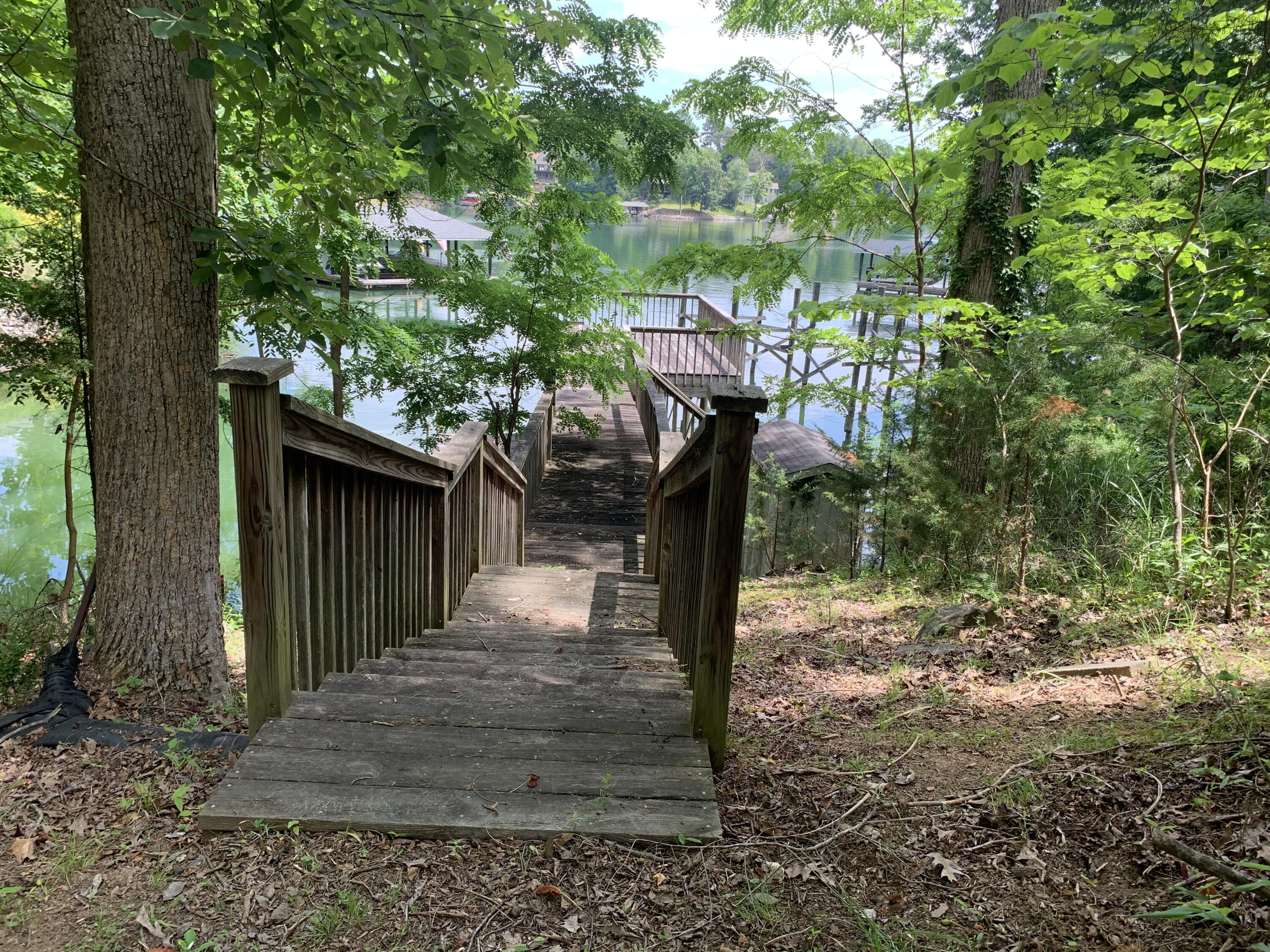Lot 1 Kings Road Wirtz, VA 24184 - Photo 7 of 17 a tree in a backyard of a house
