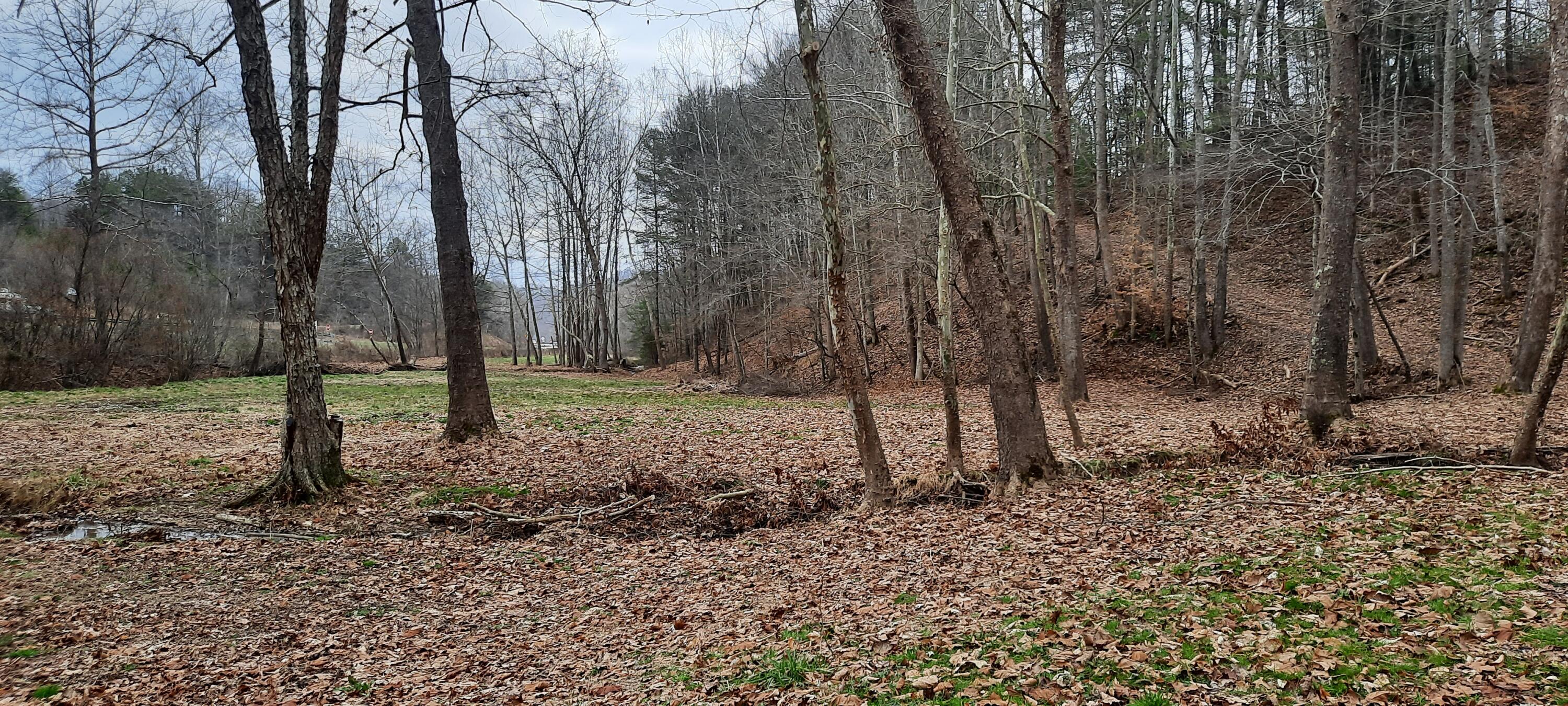 2135 Urban Creek Road Manchester, KY 40962 - Photo 50 of 81 20240227_140407