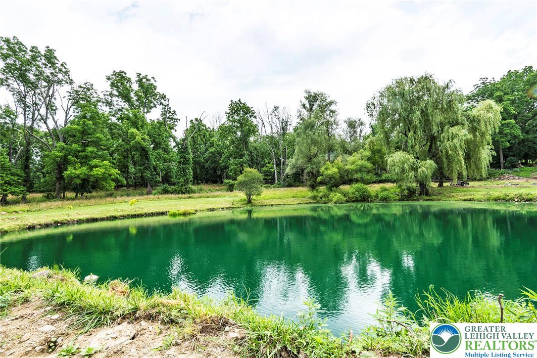 72 Allegheny Road Mount Bethel, PA 18343 - Photo 60 of 72 A tranquil green pond reflects the lush, mature trees along its grassy banks, creating a peaceful natural escape.