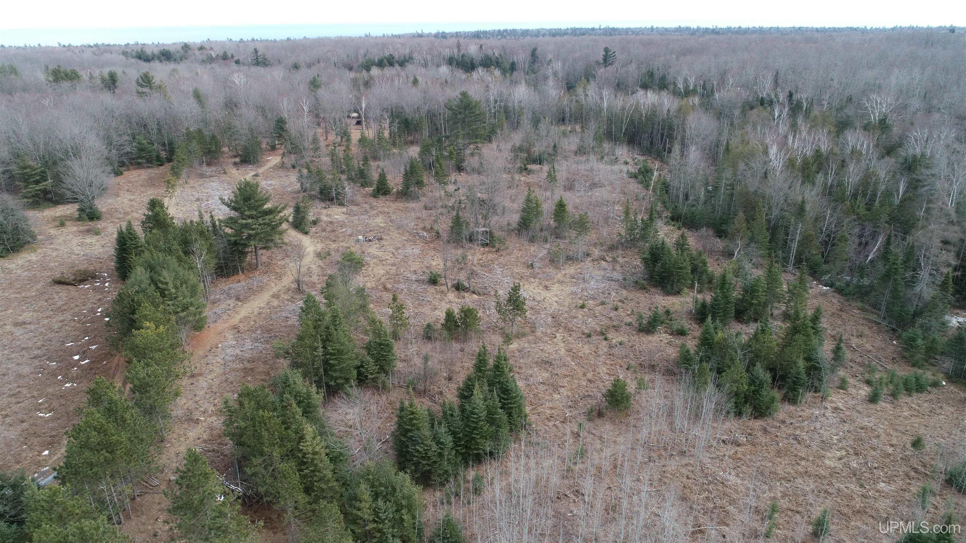 2467 Little Harbor Road Manistique, MI 49854 - Photo 60 of 68 Gallery Image 60