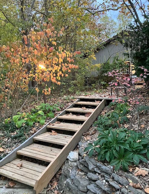 2066 Tolbert Road Hamilton, OH 45011 - Photo 32 of 63 Navigate a charming wooden staircase ascending towards a private dwelling nestled amidst lush foliage.
