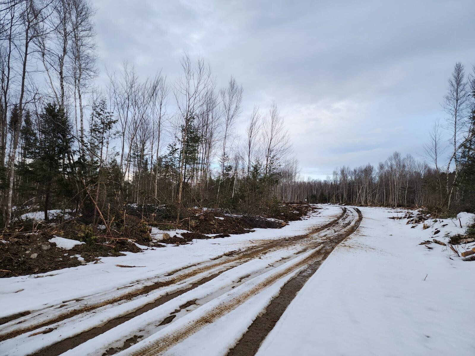 Lot 18 North Moores Road Springfield, ME 04487 - Photo 5 of 5 20230313_180404