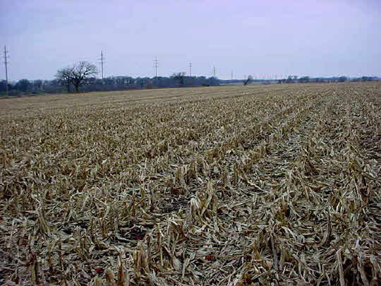 0 Mt Morris Road Mt Morris, IL 61054 - Photo 5 of 5 a view of a city and a lake