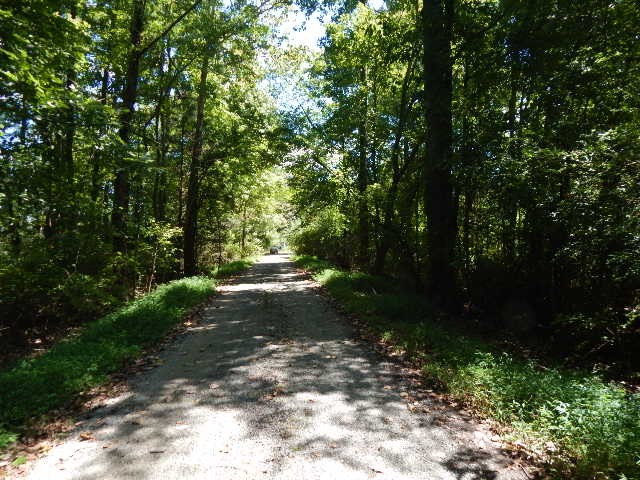 0 Hervy Jones Road Morrison, TN 37357 - Photo 4 of 6 Gallery Image 4