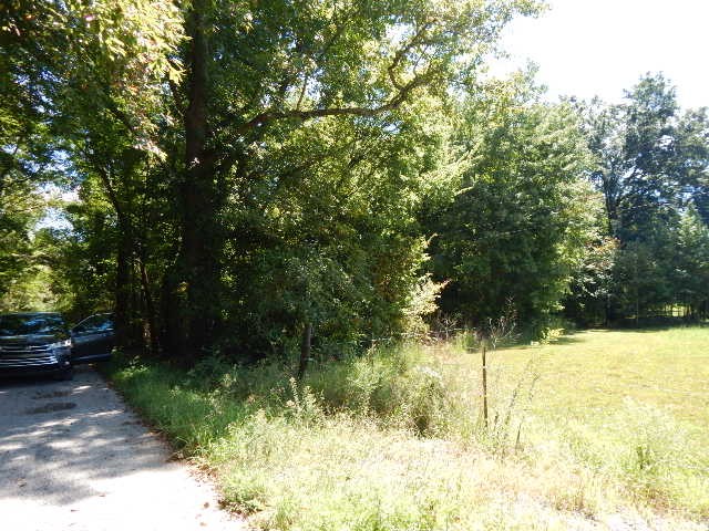 0 Hervy Jones Road Morrison, TN 37357 - Photo 6 of 6 Gallery Image 6