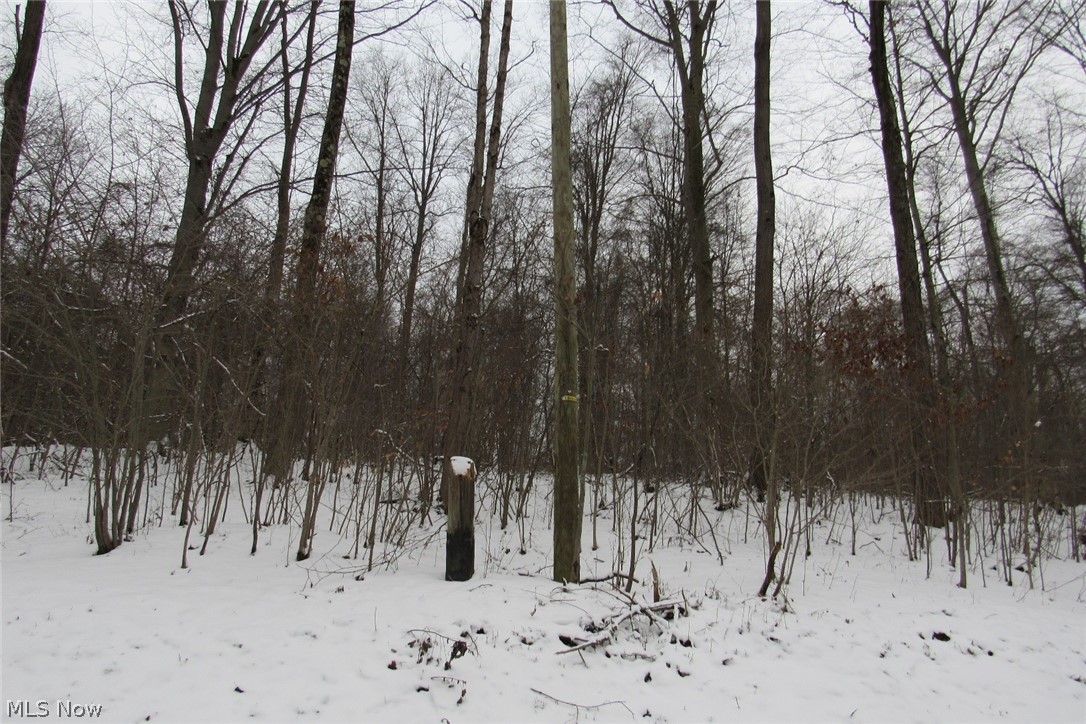Meade Hollow Road Orwell, OH 44076 - Photo 2 of 6