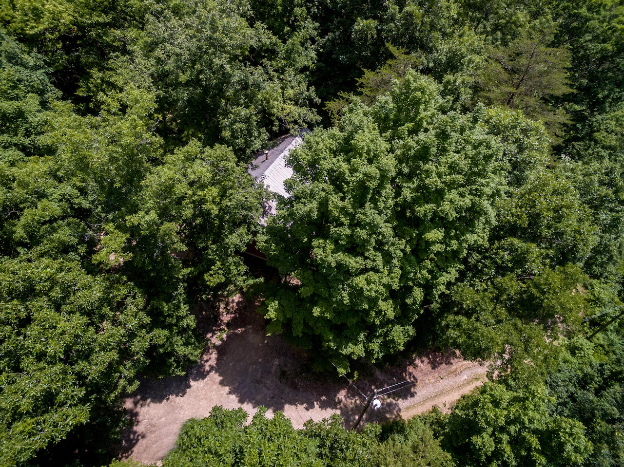 866 Avondale Hollow Road Rutledge, TN 37861 - Photo 19 of 36 D3