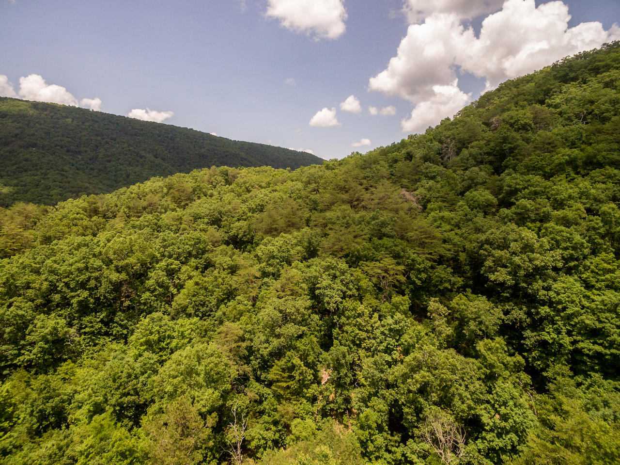 866 Avondale Hollow Road Rutledge, TN 37861 - Photo 21 of 36 D5
