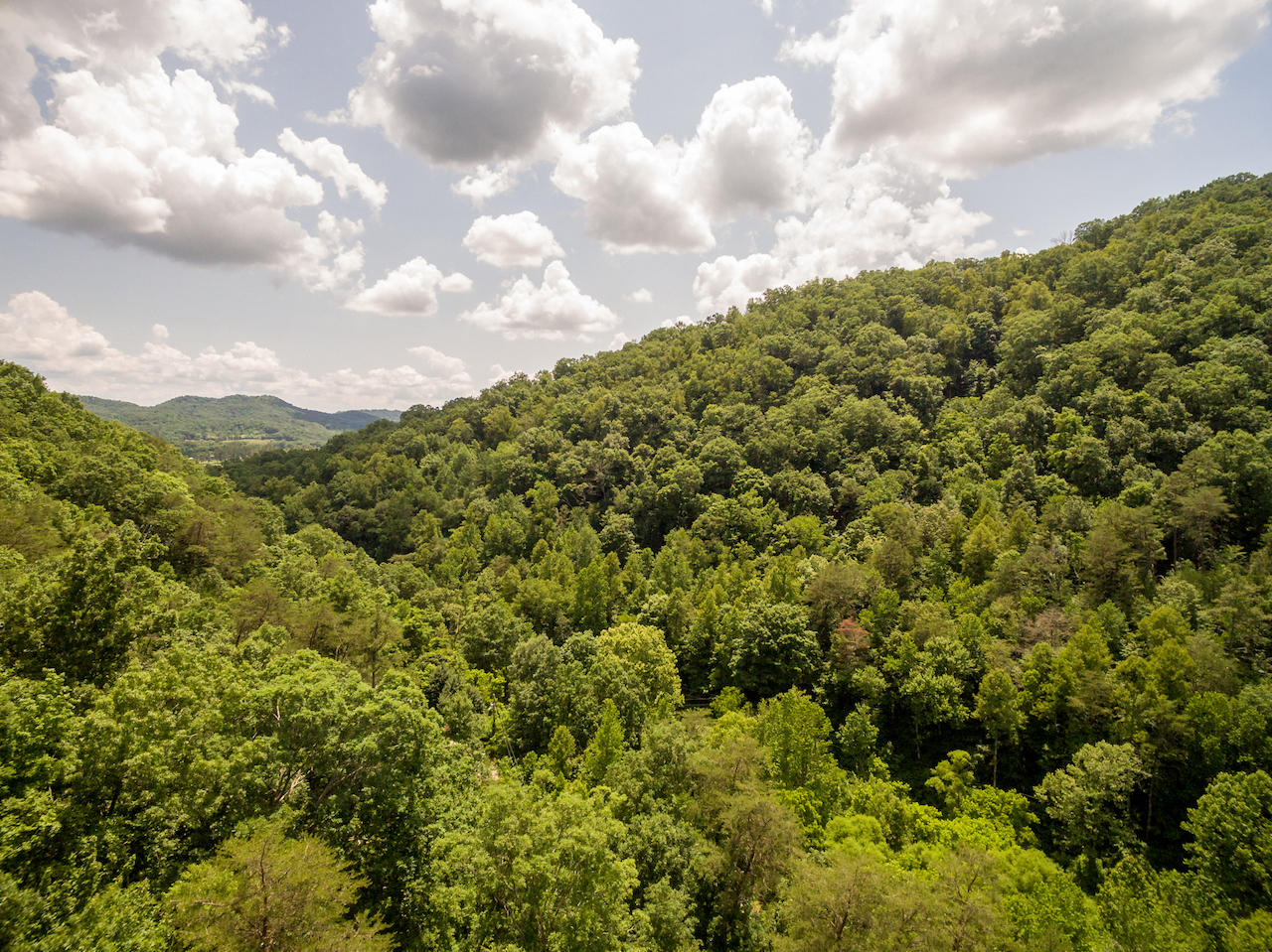 866 Avondale Hollow Road Rutledge, TN 37861 - Photo 23 of 36 D7
