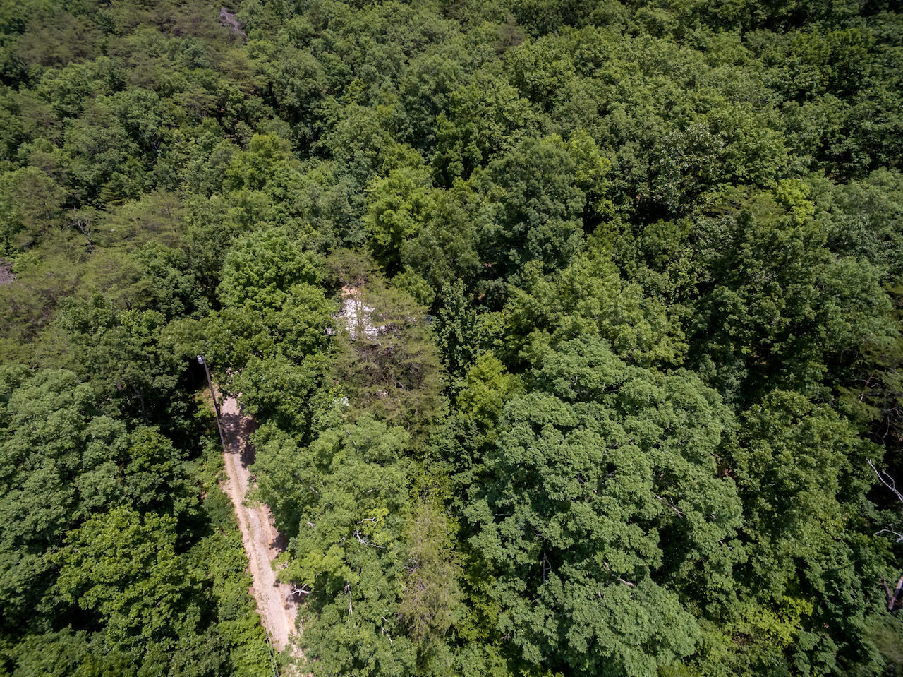 866 Avondale Hollow Road Rutledge, TN 37861 - Photo 24 of 36 D8