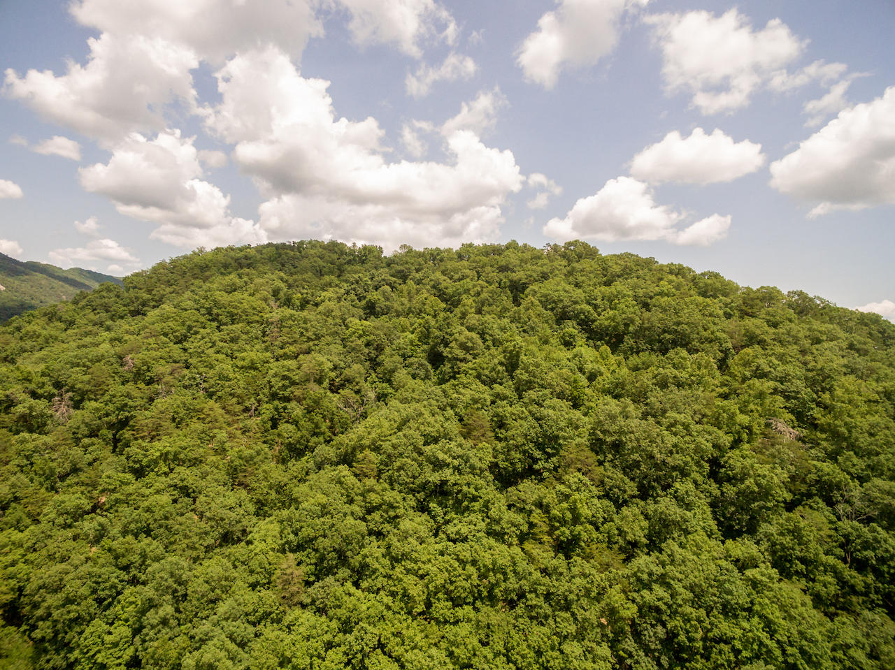866 Avondale Hollow Road Rutledge, TN 37861 - Photo 25 of 36 D9