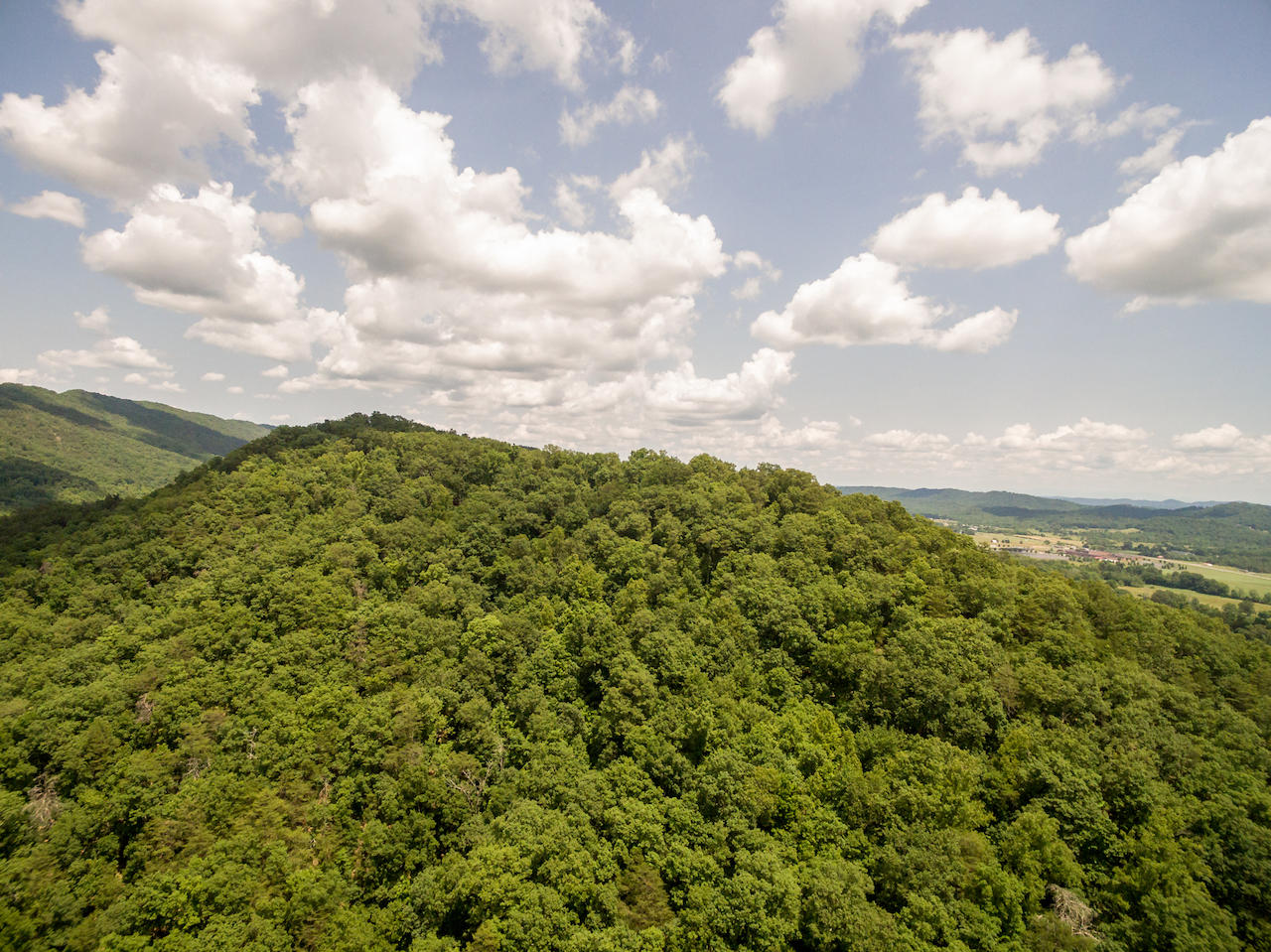 866 Avondale Hollow Road Rutledge, TN 37861 - Photo 26 of 36 D10