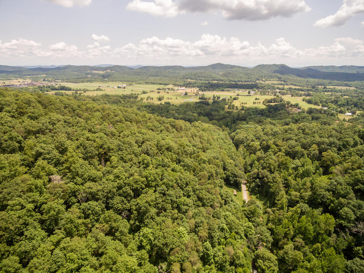 866 Avondale Hollow Road Rutledge, TN 37861 - Photo 27 of 36 D11