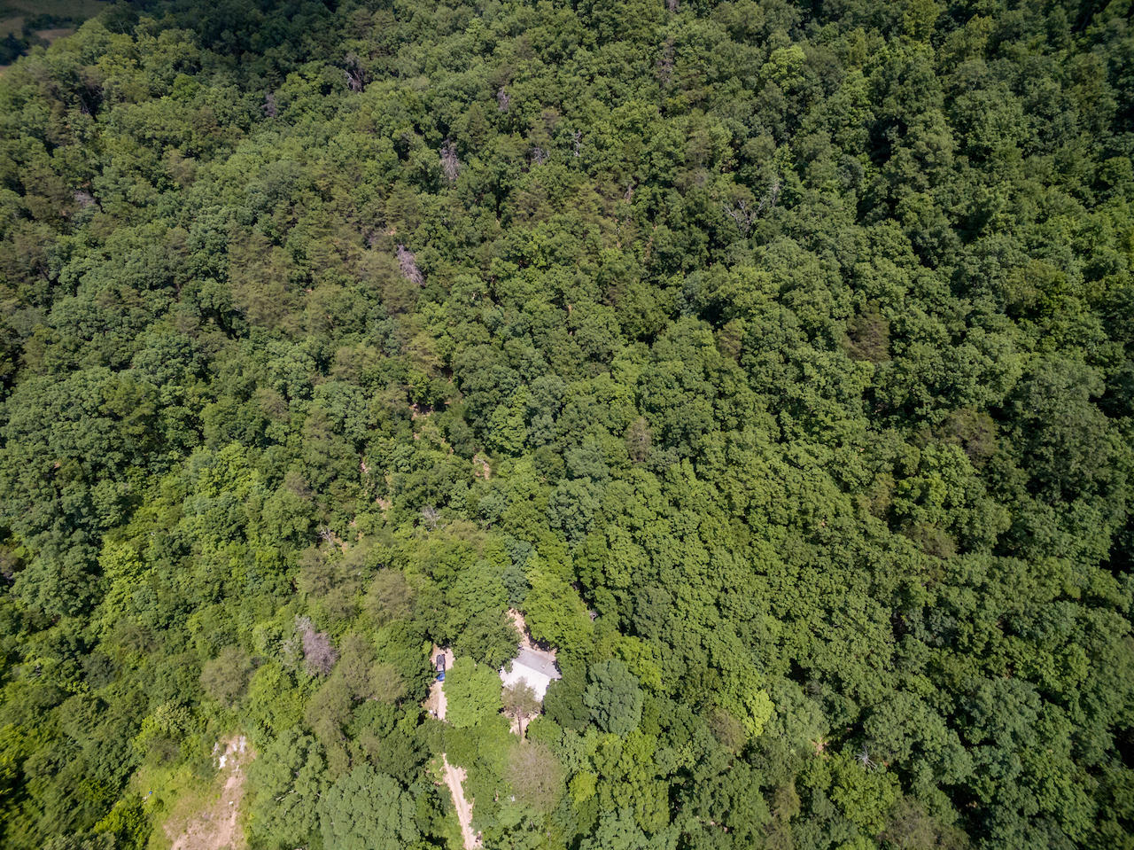 866 Avondale Hollow Road Rutledge, TN 37861 - Photo 28 of 36 D12