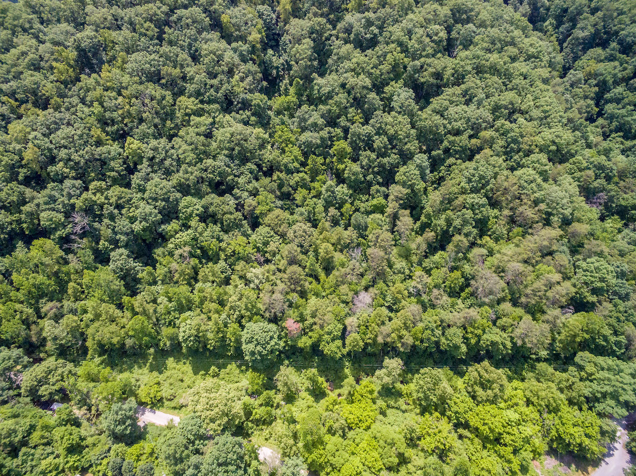 866 Avondale Hollow Road Rutledge, TN 37861 - Photo 30 of 36 D14
