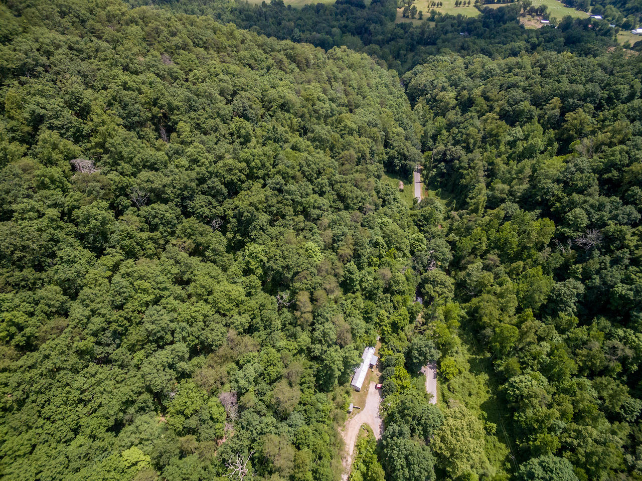 866 Avondale Hollow Road Rutledge, TN 37861 - Photo 31 of 36 D15