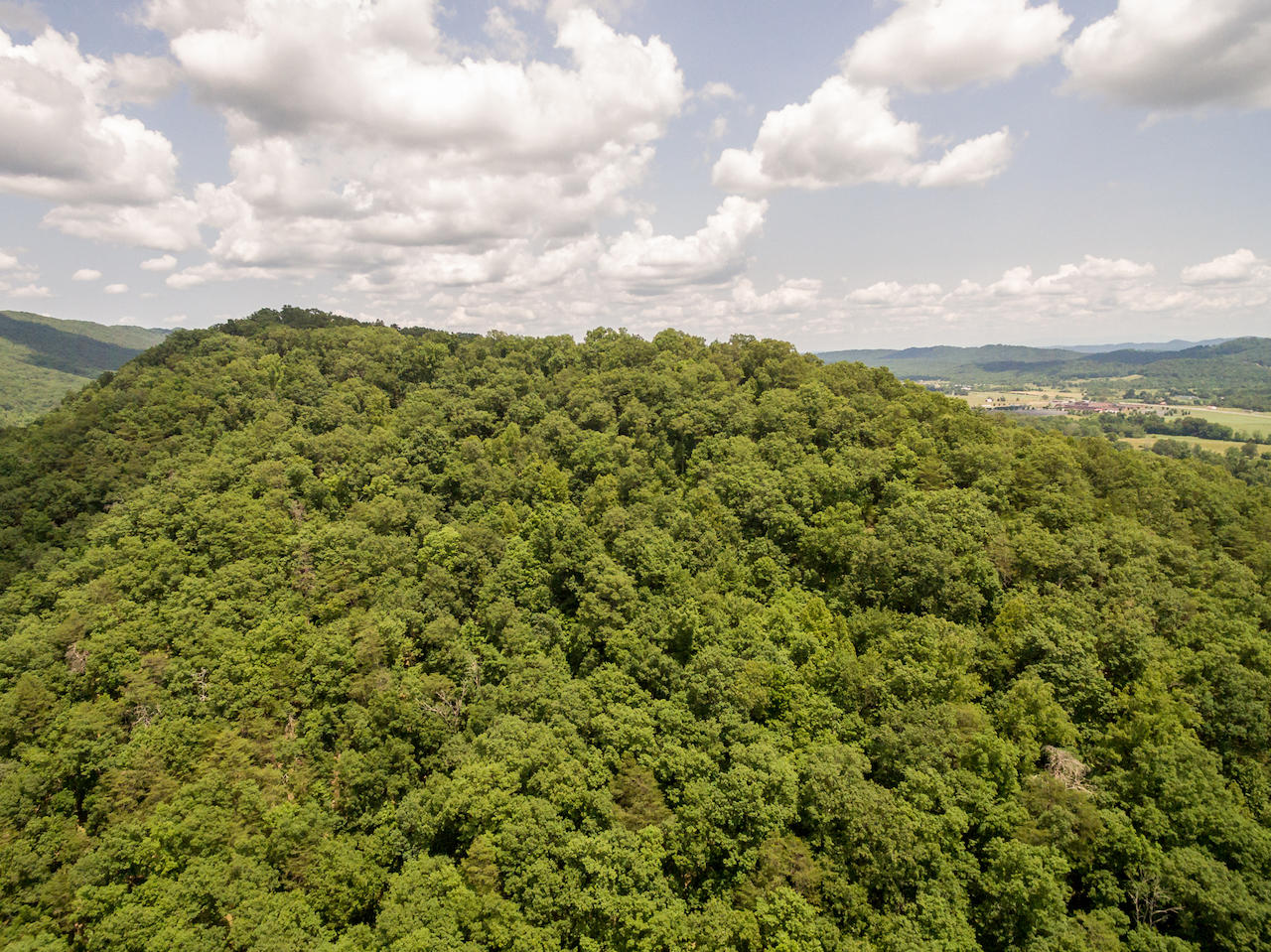866 Avondale Hollow Road Rutledge, TN 37861 - Photo 35 of 36 D19