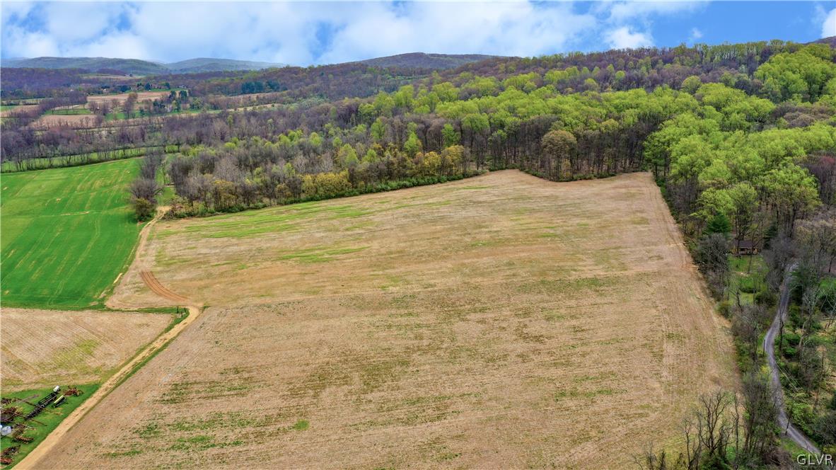 Bodder Road Riegelsville, PA 18077 - Photo 1 of 5 a view of a yard with an outdoor space