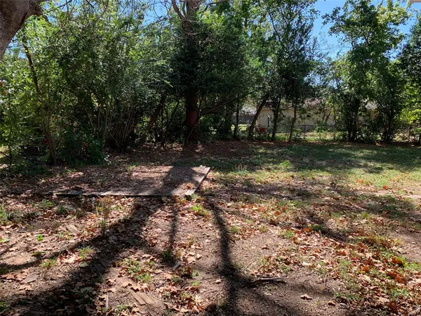 a view of a yard with trees