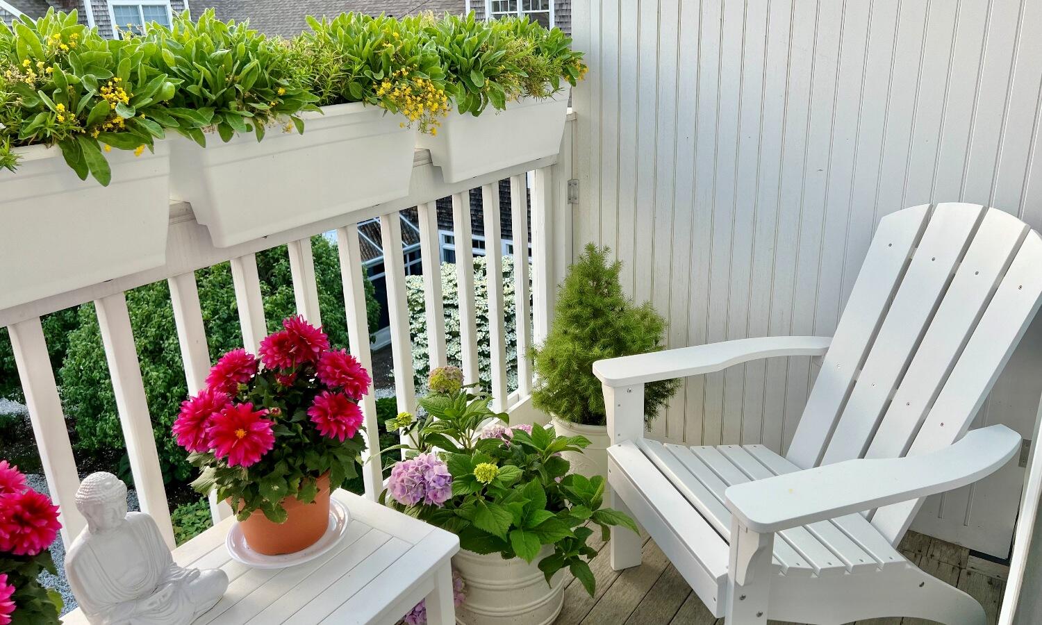 912 Main Street, Unit 308 Chatham, MA 02633 - Photo 13 of 65 a view of a potted plants sitting in back of a house