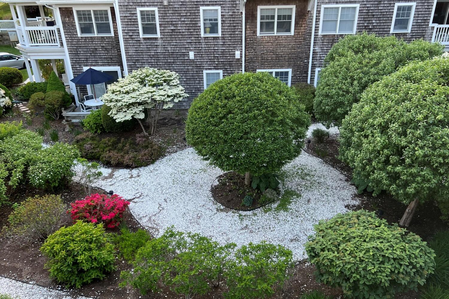 912 Main Street, Unit 308 Chatham, MA 02633 - Photo 16 of 65 a view of a garden with potted plants