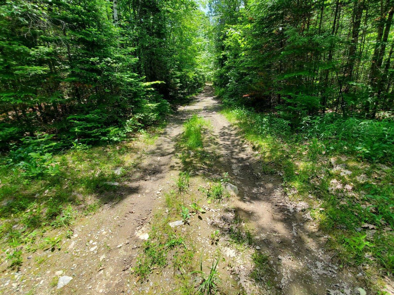 0 Morgan Road Burnham, ME 04922 - Photo 18 of 69 20250617_123943