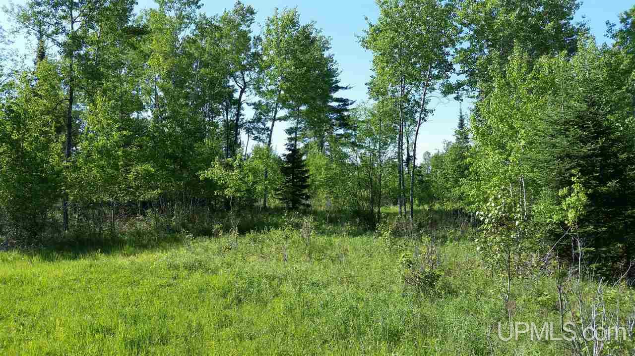 Tbd Off Kime-backlund Road Foster City, MI 49807 - Photo 6 of 12
