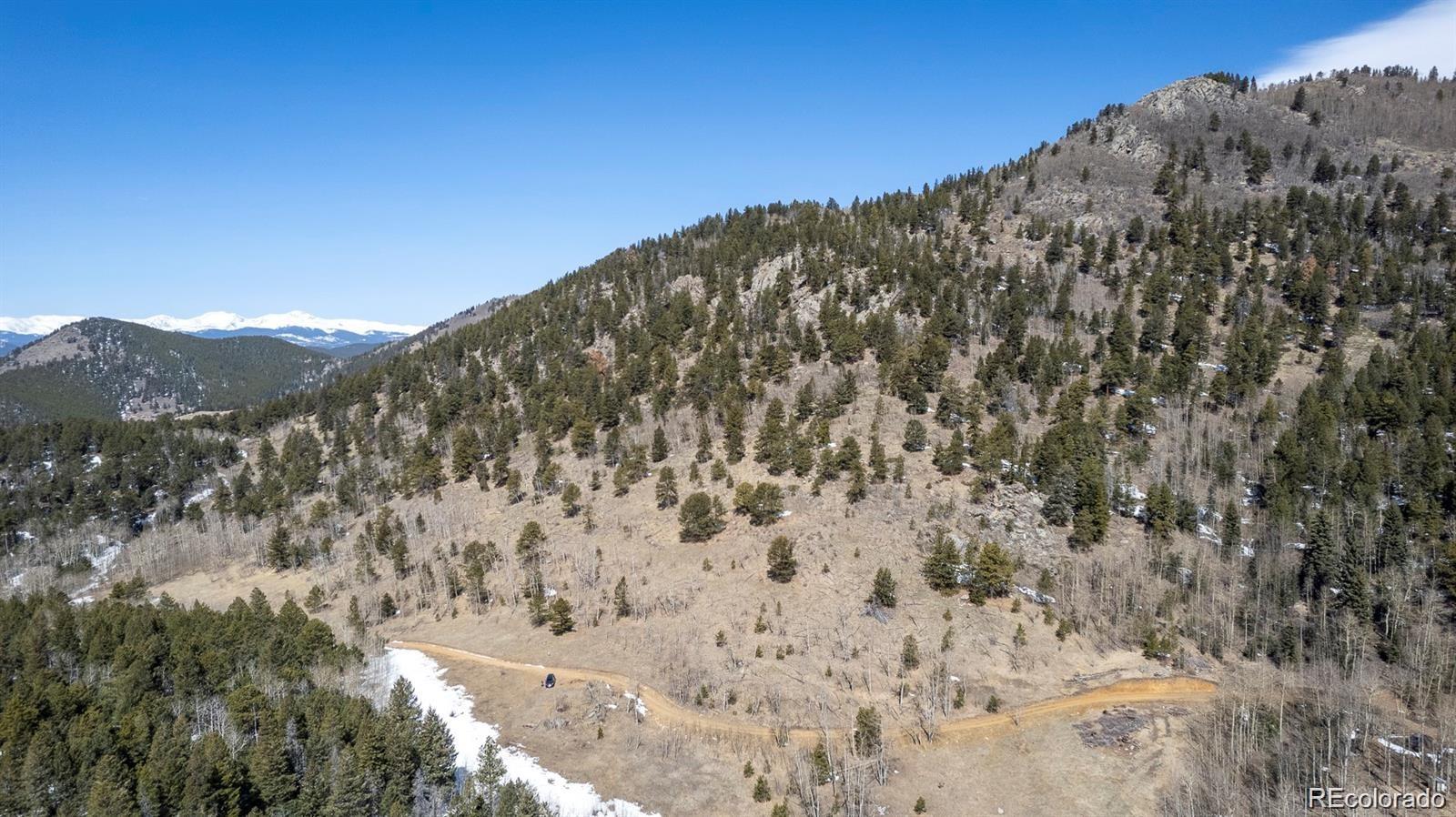 3 Red Tail Ranch Golden, CO 80403 - Photo 11 of 12