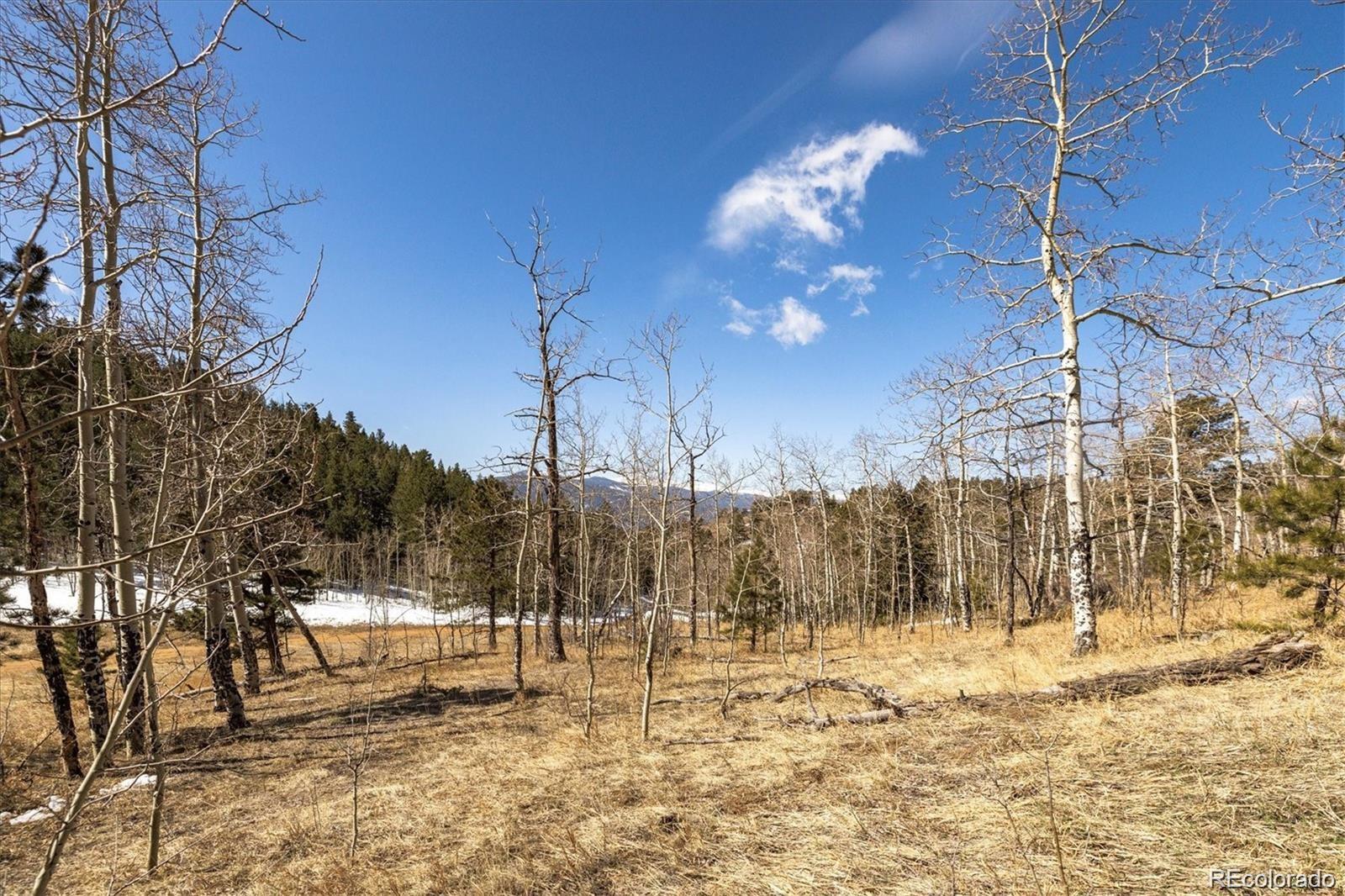 3 Red Tail Ranch Golden, CO 80403 - Photo 4 of 12