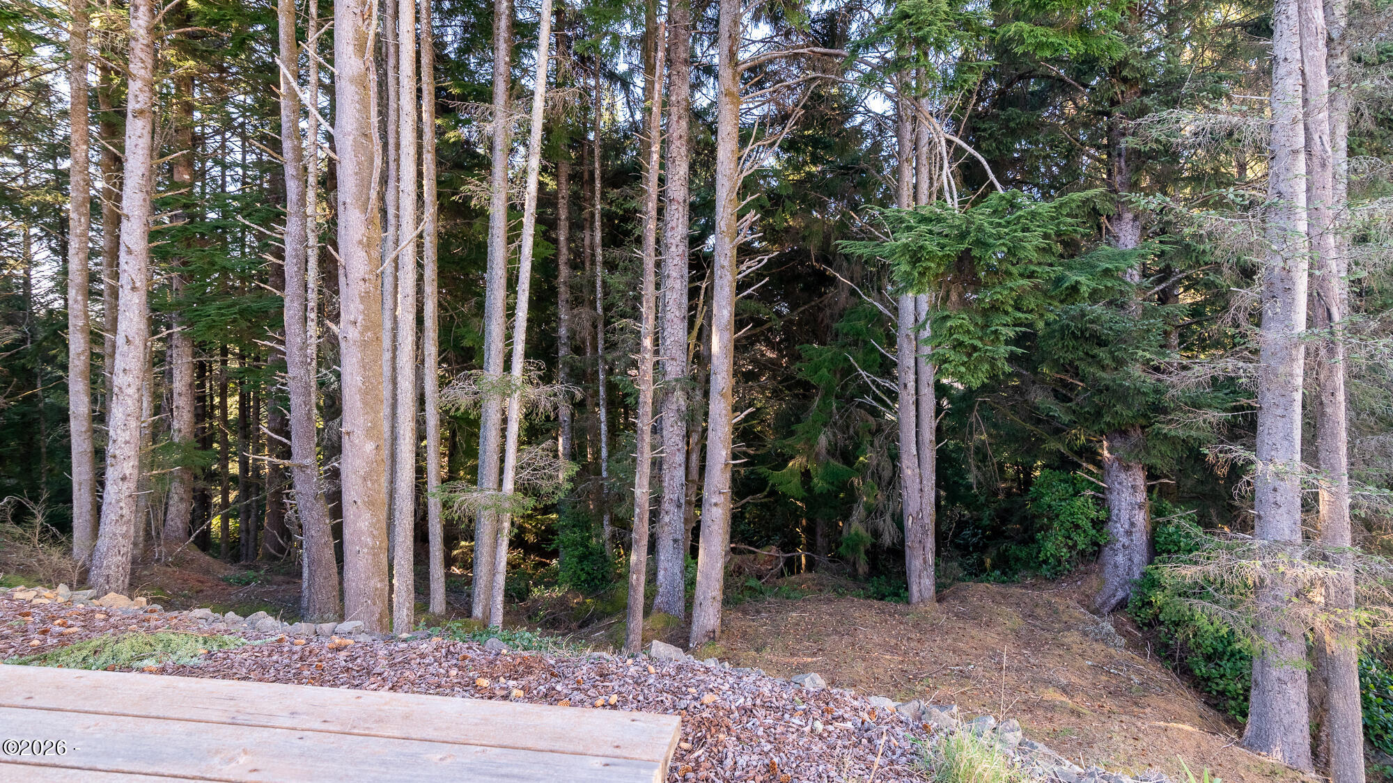 4161 Southeast Inlet Avenue Lincoln City, OR 97367 - Photo 28 of 38 Back of House