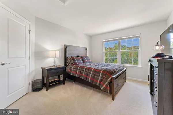 a bedroom with a bed and a tv