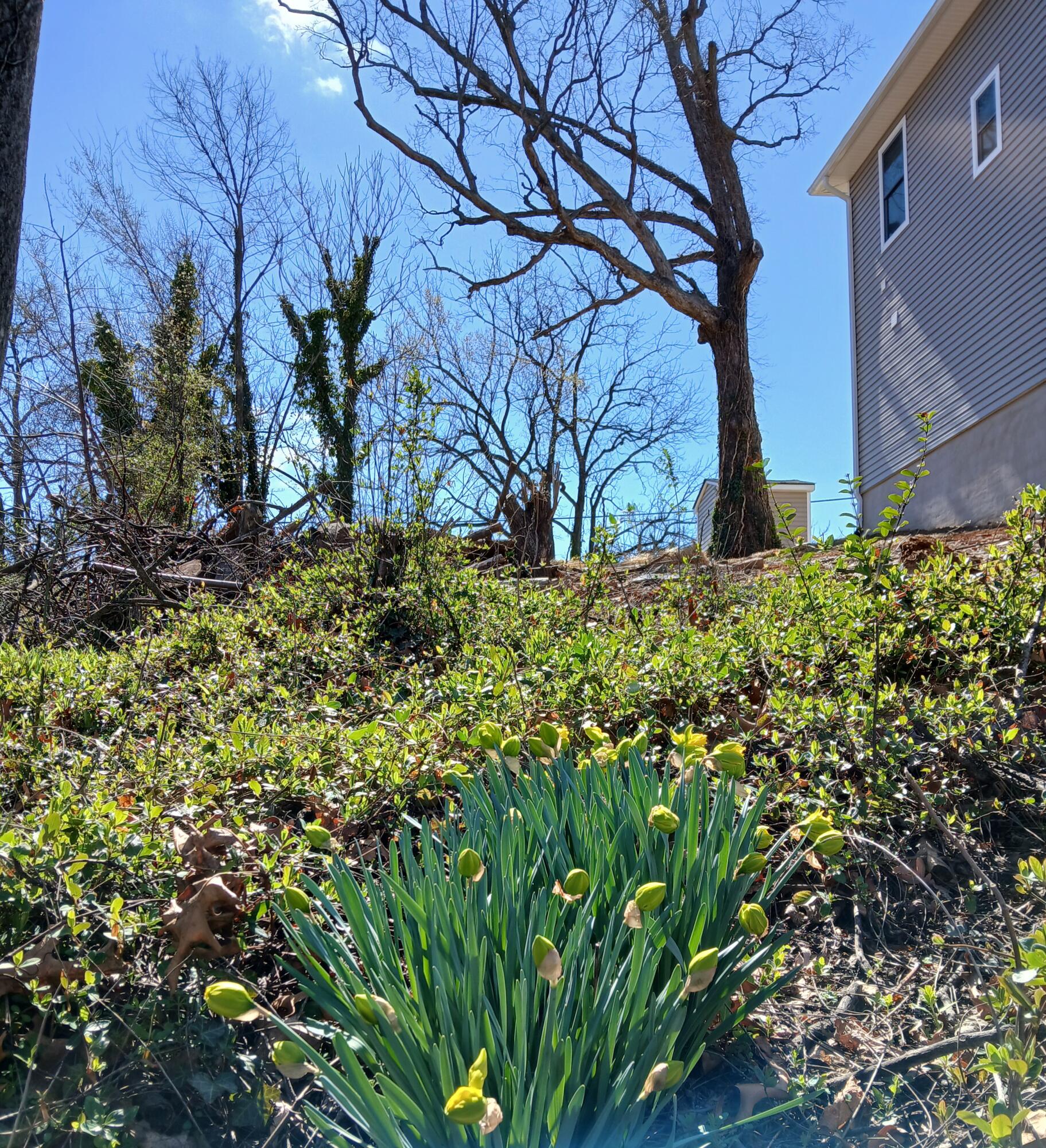 0 Church Avenue Southeast Roanoke, VA 24013 - Photo 1 of 5 a backyard of a house with lots of green space