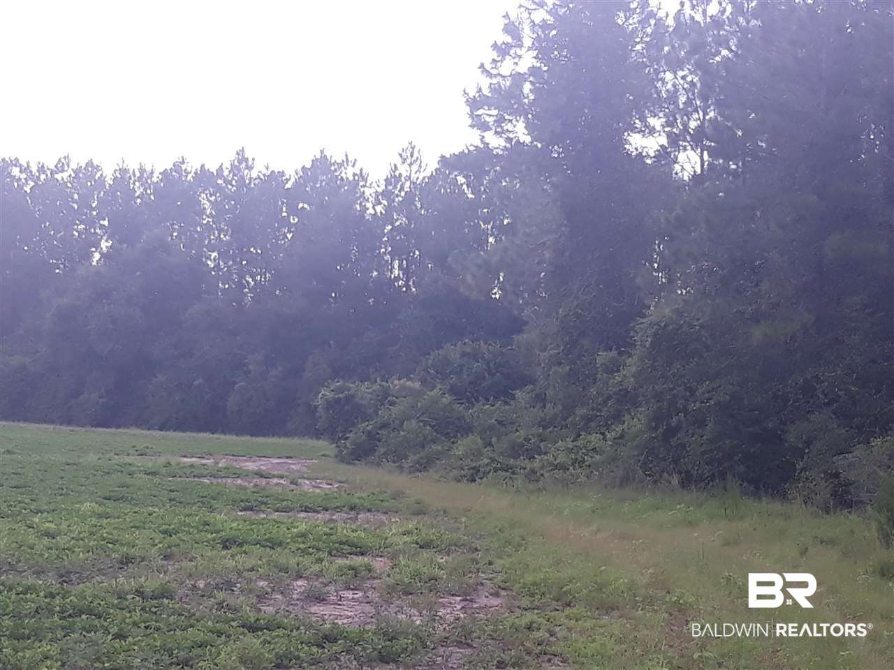 4 Copeland Road Milton, FL 32570 - Photo 9 of 10