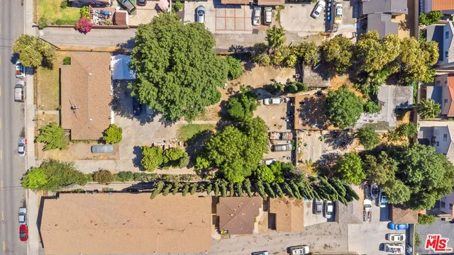 a plant that is in front of a house