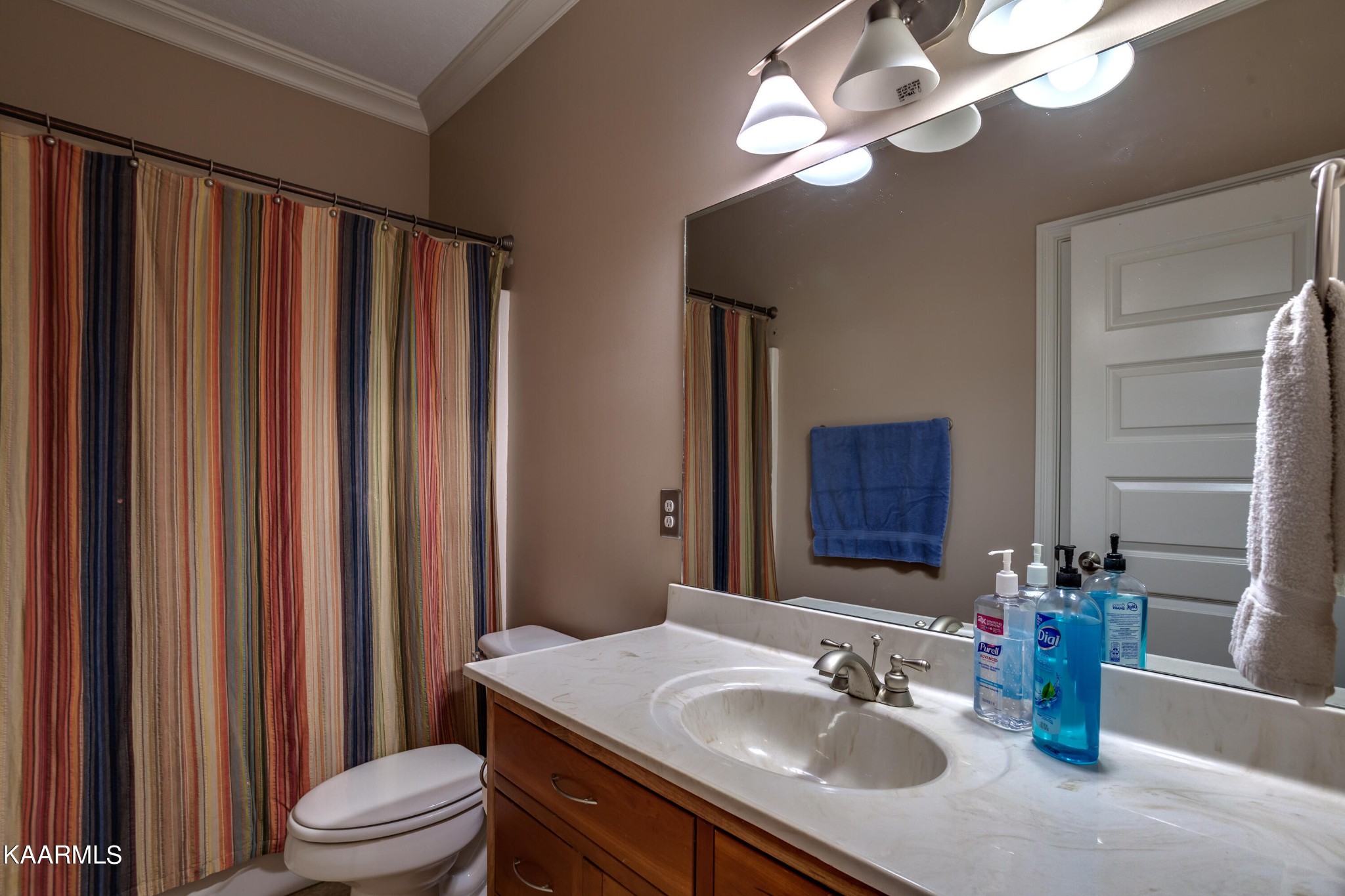 9601 Captain Smith Lane Corryton, TN 37721 - Photo 27 of 40 a bathroom with a sink a toilet and mirror
