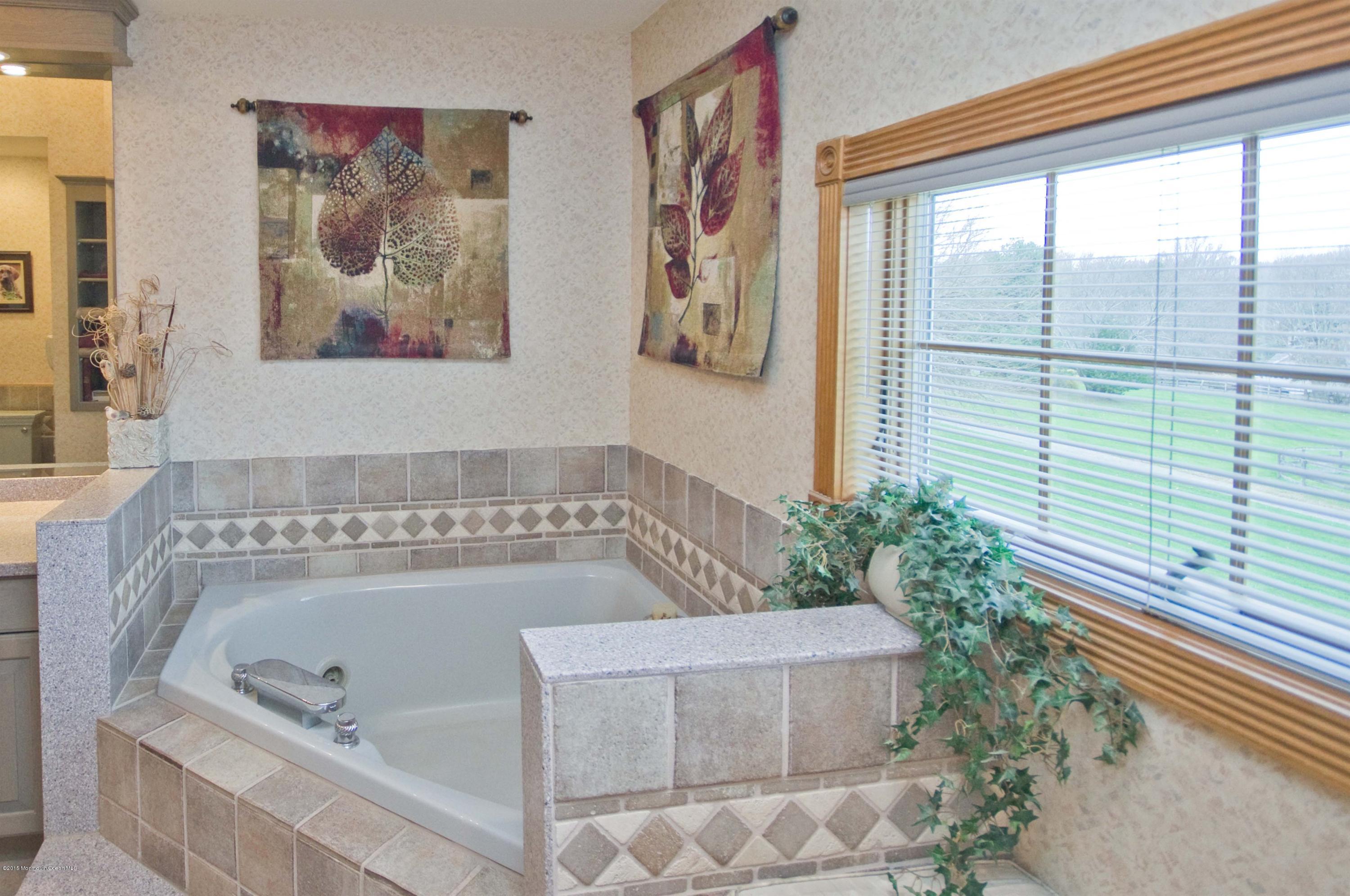 108 Millstone Road Millstone Township, NJ 08535 - Photo 17 of 39 Jacuzzi