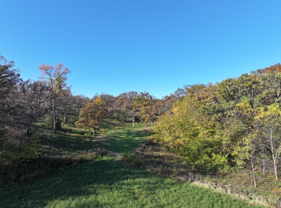 4800 Cub Hollow Road Gratiot, WI 53541 - Photo 87 of 90