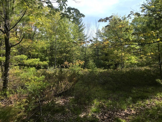 Lot 1 West Meadow Road Fish Creek, WI 54212 - Photo 12 of 33 Gallery Image 12