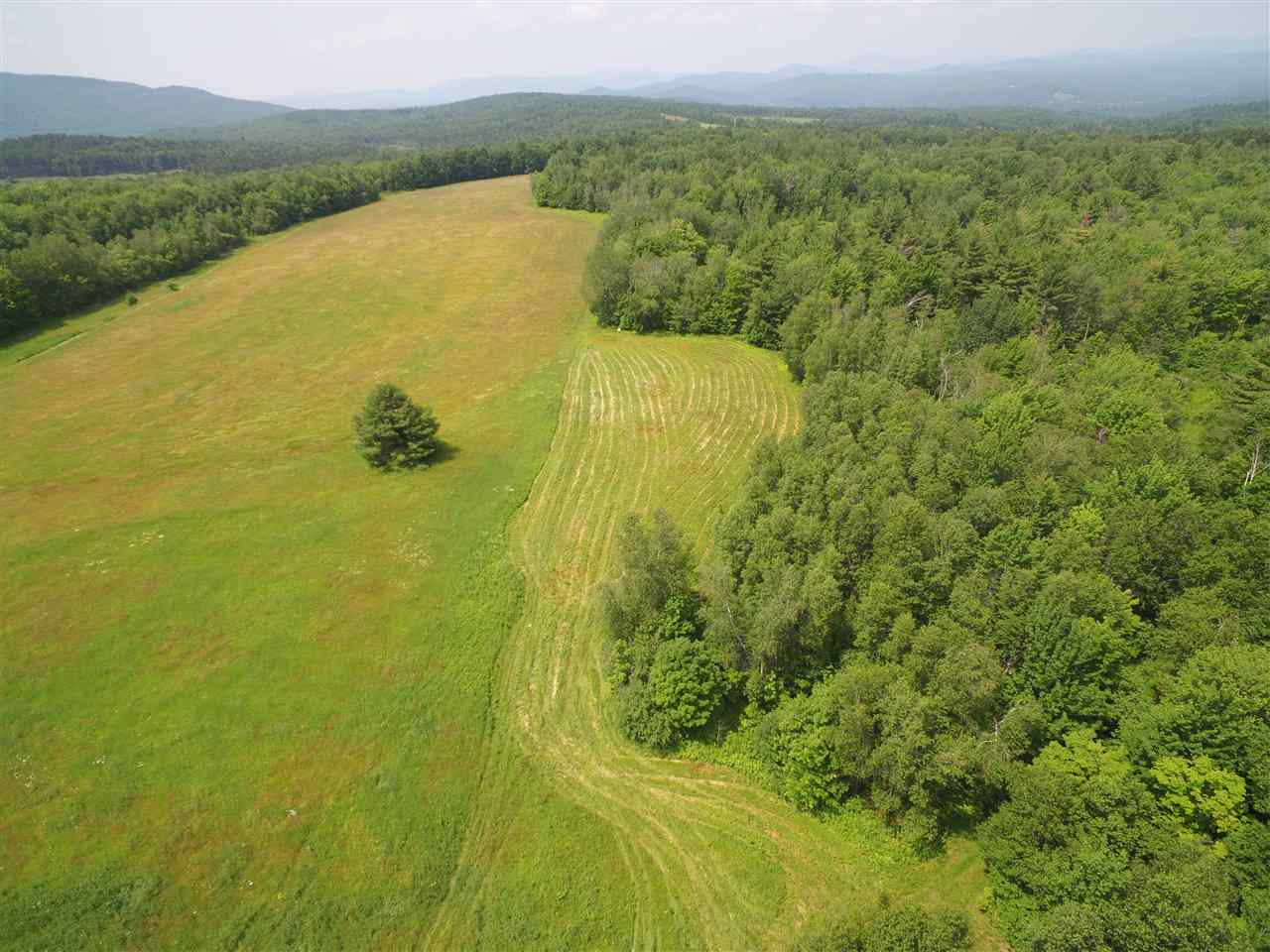 King Road Wolcott, VT 05680 - Photo 5 of 15