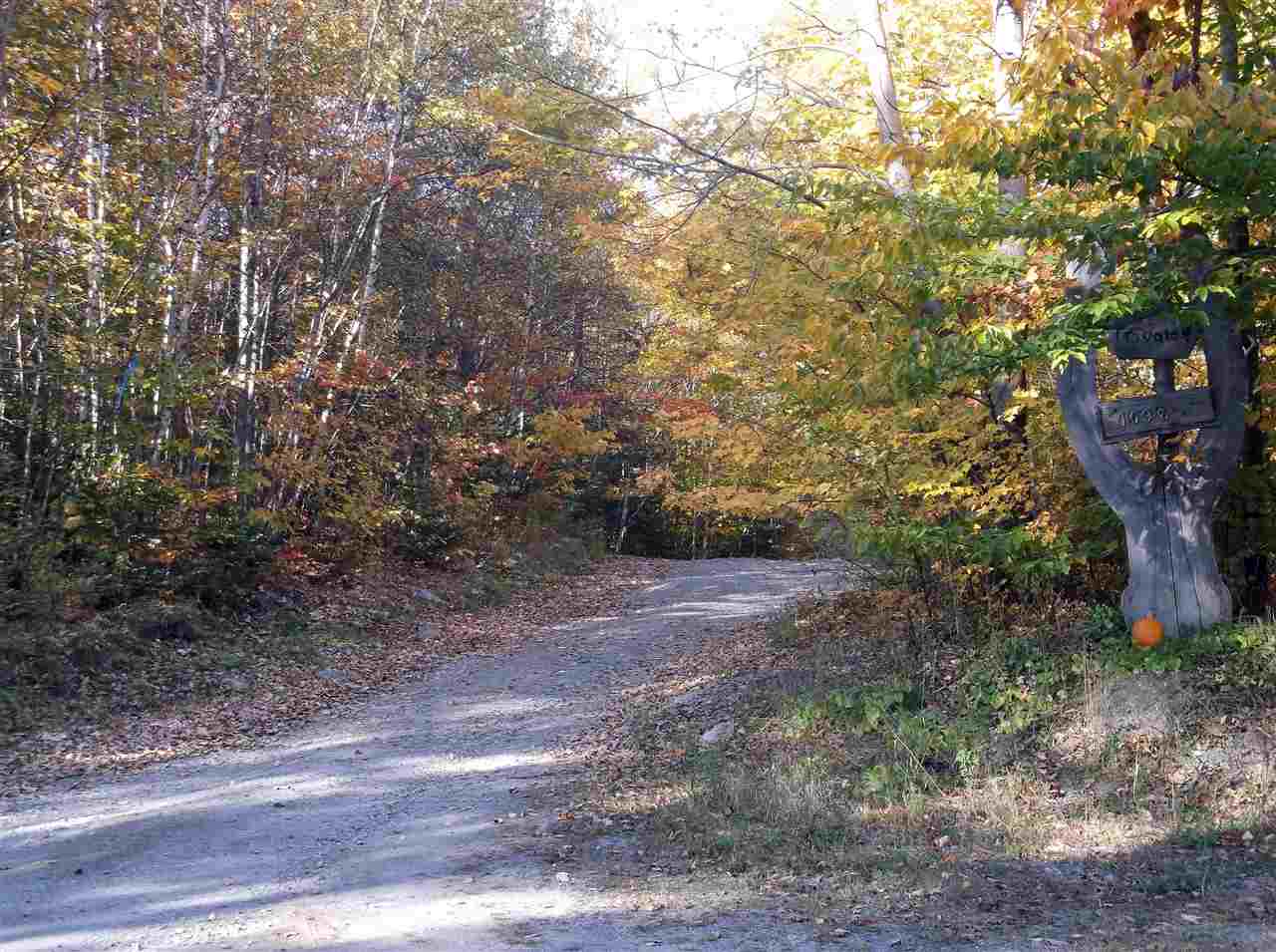 King Road Wolcott, VT 05680 - Photo 8 of 15