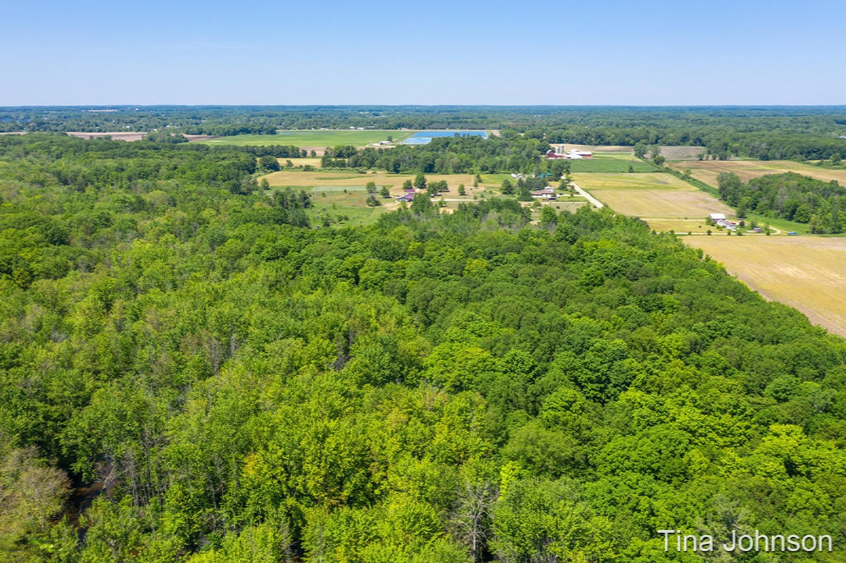 3626 Miners Road Crystal, MI 48818 - Photo 6 of 9 IMG_1005