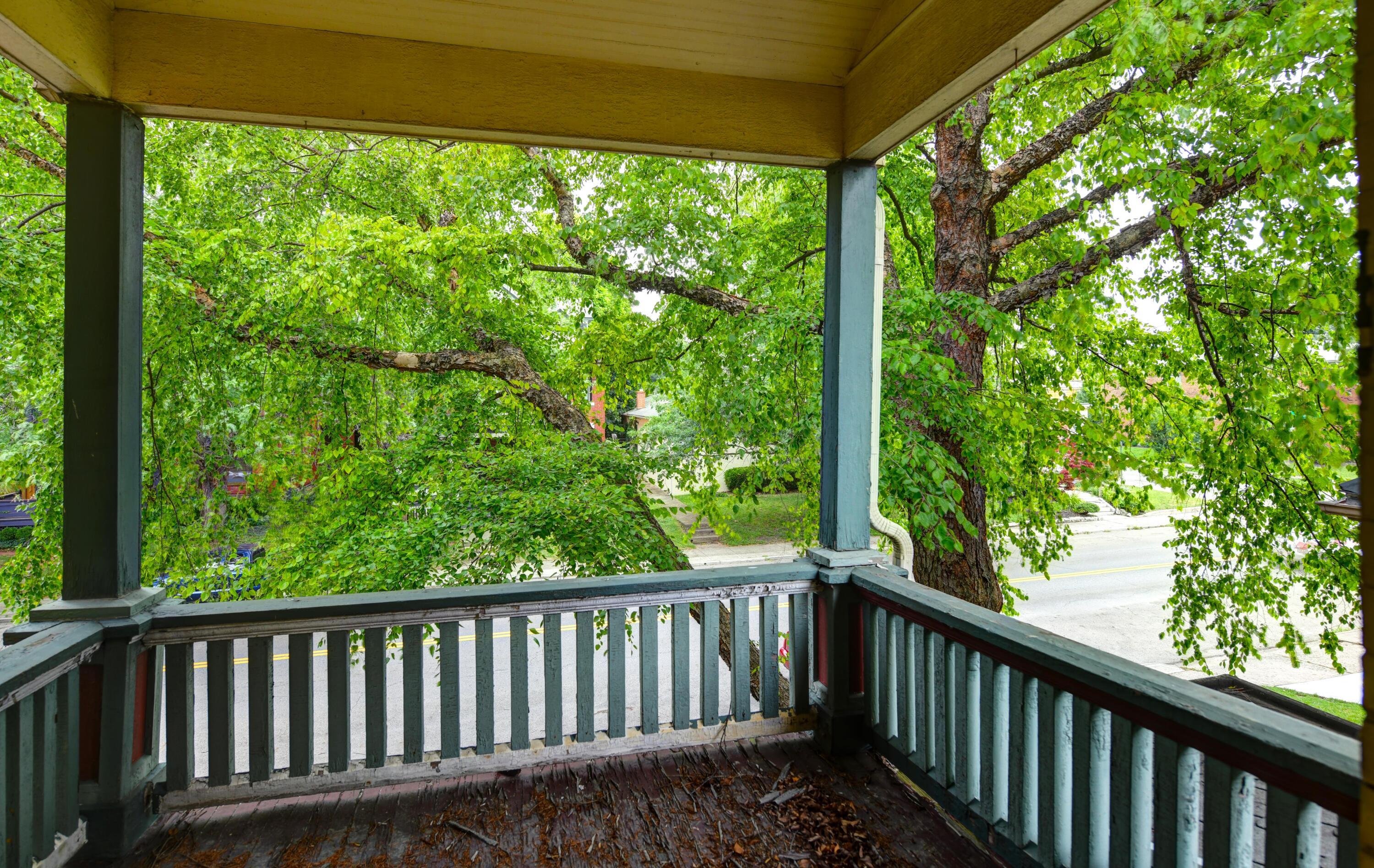 1123 Bryden Road Columbus, OH 43205 - Photo 30 of 36 Balcony (1)