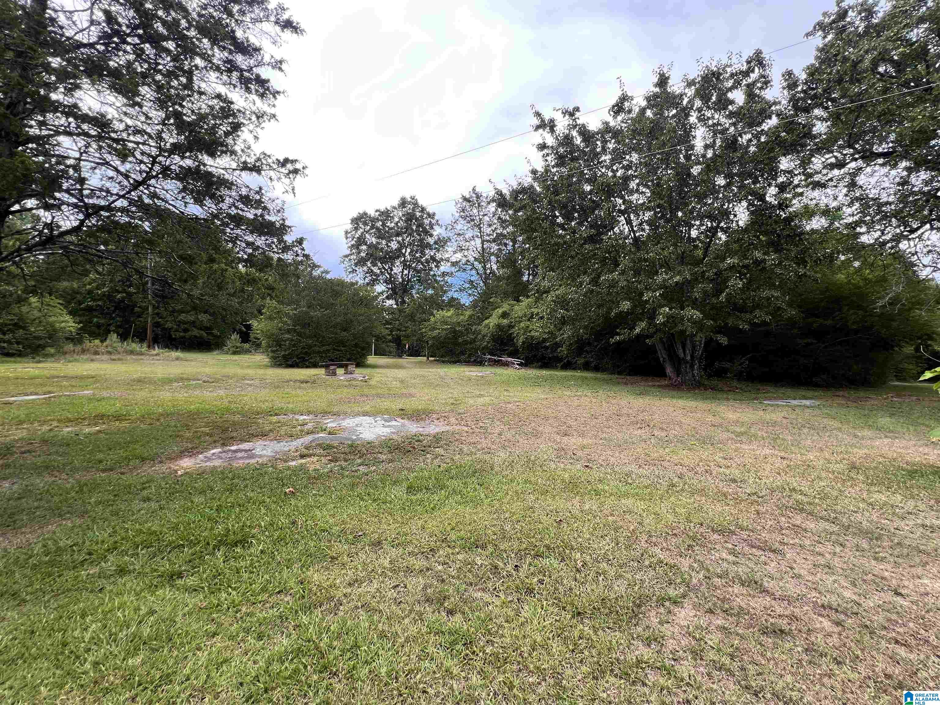 688 Hamilton Mtn Road Blountsville, AL 35031 - Photo 18 of 18