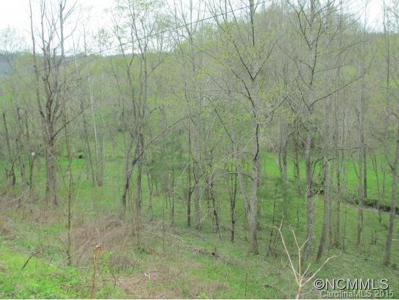 0 Paw Paw Road Marshall, NC 28753 - Photo 3 of 10