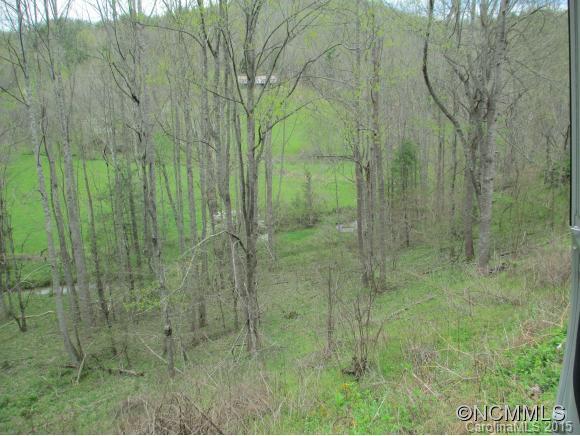 0 Paw Paw Road Marshall, NC 28753 - Photo 8 of 10