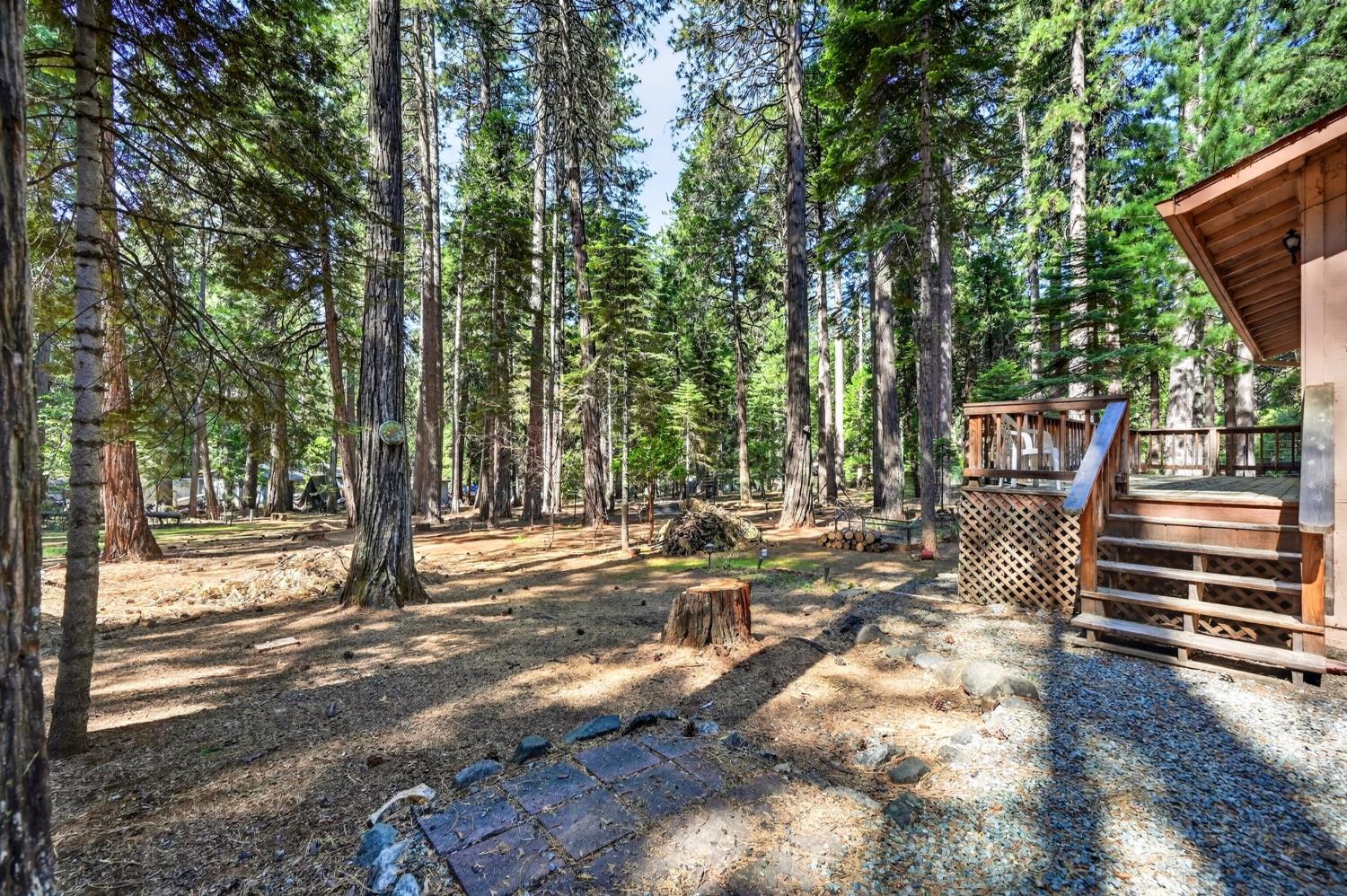 20191 Kit Court Volcano, CA 95689 - Photo 46 of 54 a view of a yard with plants and trees