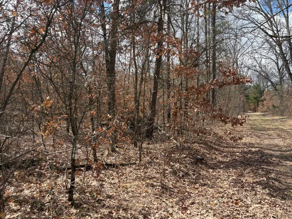 $13,500 | Vl West Lexington, Idlewild, MI 49642