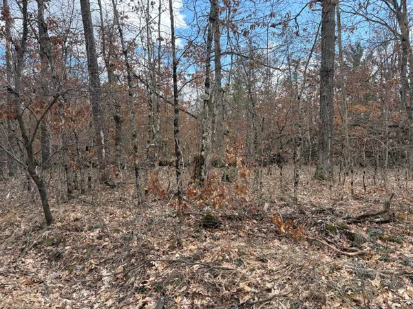 $13,500 | Vl West Lexington, Idlewild, MI 49642