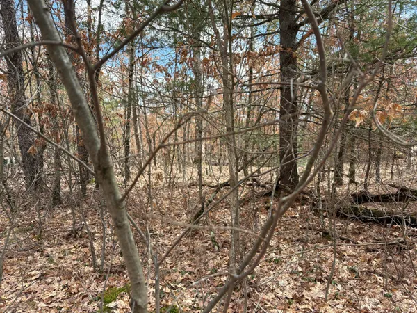 $13,500 | Vl West Lexington, Idlewild, MI 49642