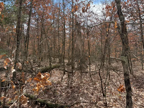 $13,500 | Vl West Lexington, Idlewild, MI 49642
